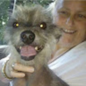 Meet your Posher, Sherry